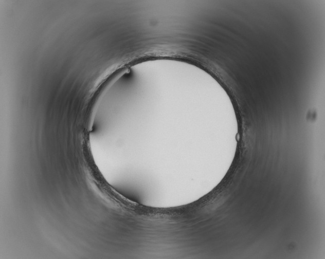 X0000110950530200907311044