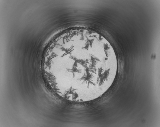 X0000110950531200907311044