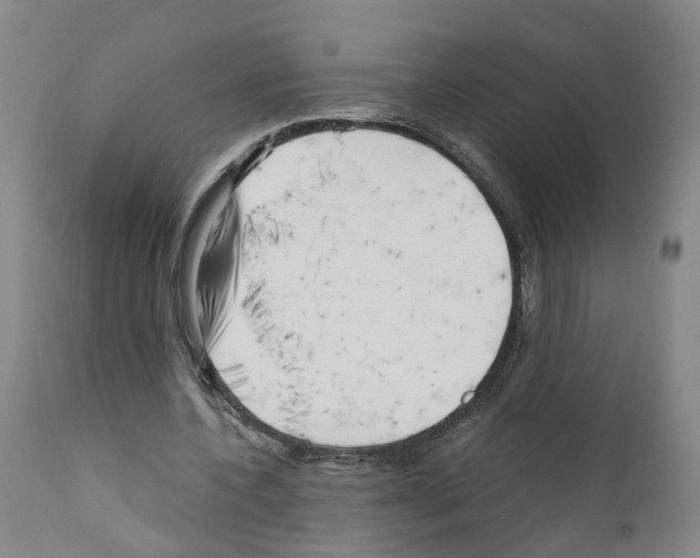 X0000110950532200907311044