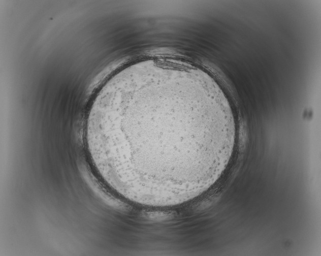 X0000110950533200907311044