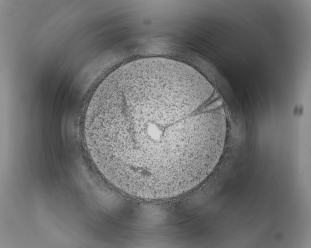 X0000110950534200907311044