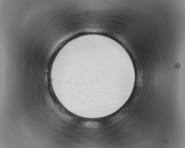 X0000110950535200907311044