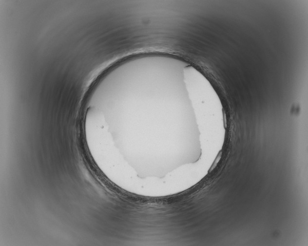 X0000110950536200907311044