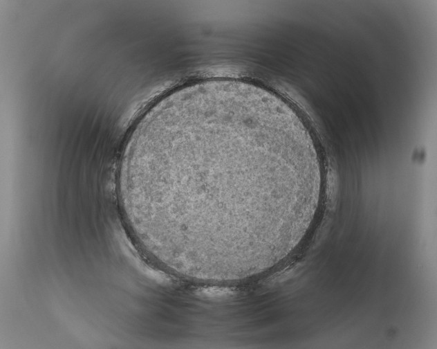 X0000110950537200907311044