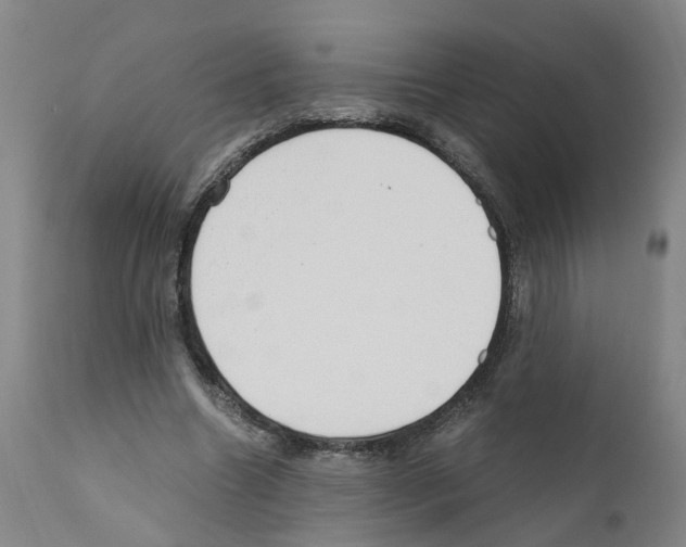 X0000110950538200907311044