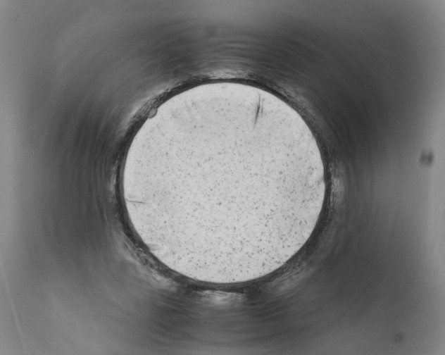 X0000110950539200907311044