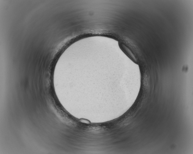 X0000110950540200907311044