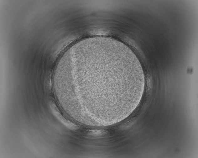 X0000110950541200907311044