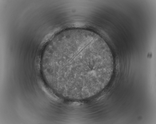 X0000110950542200907311044