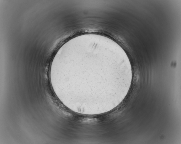 X0000110950543200907311044
