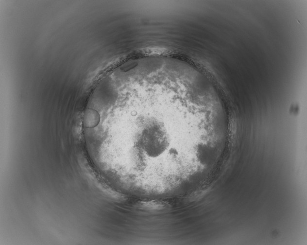 X0000110950545200907311044