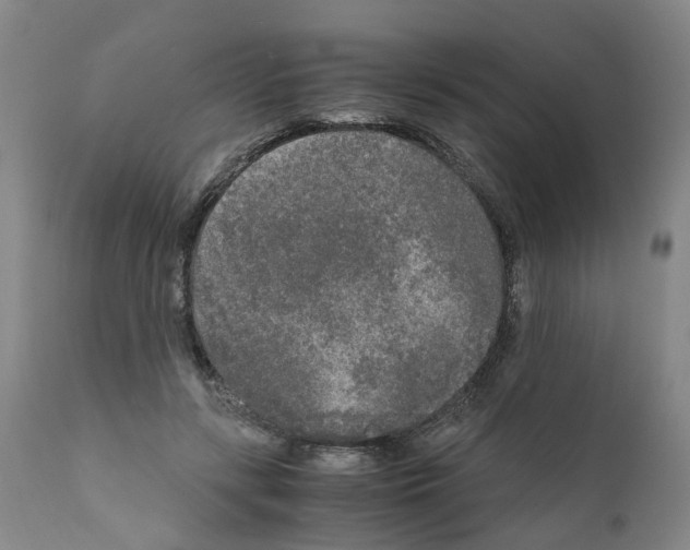 X0000110950547200907311044