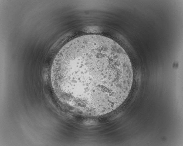X0000110950549200907311044