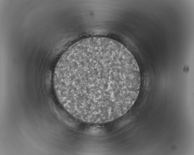 X0000110950550200907311044