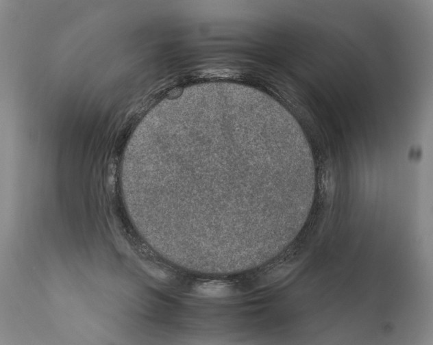 X0000110950551200907311044