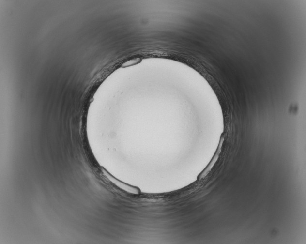 X0000110950552200907311044
