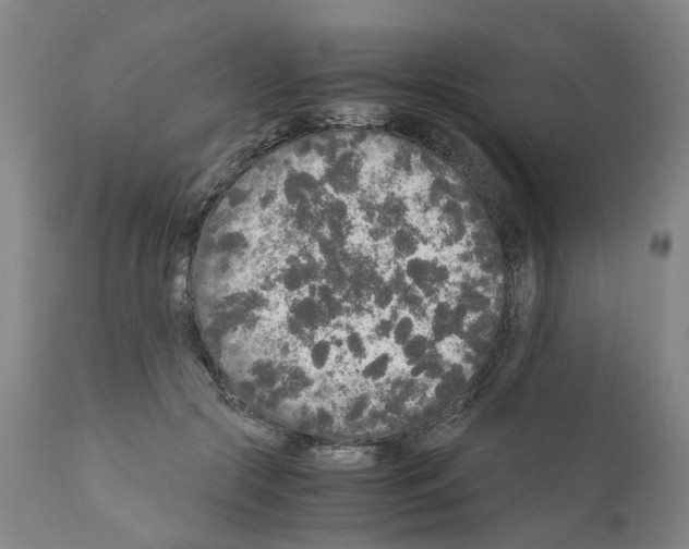 X0000110950553200907311044