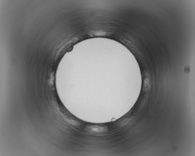 X0000110950555200907311044