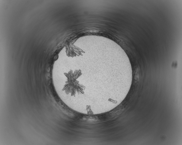 X0000110950559200907311044