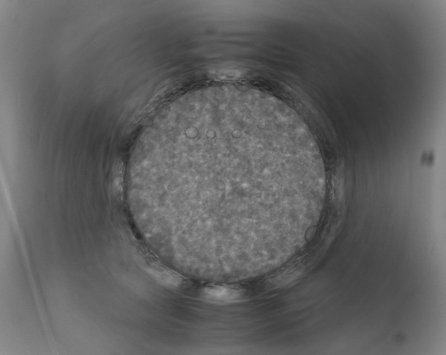 X0000110950561200907311044