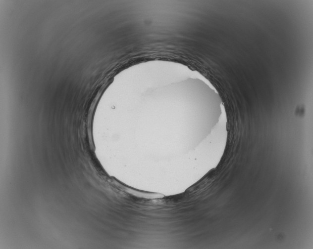 X0000110950562200907311044