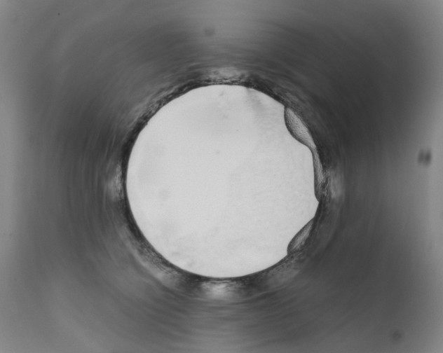 X0000110950564200907311044