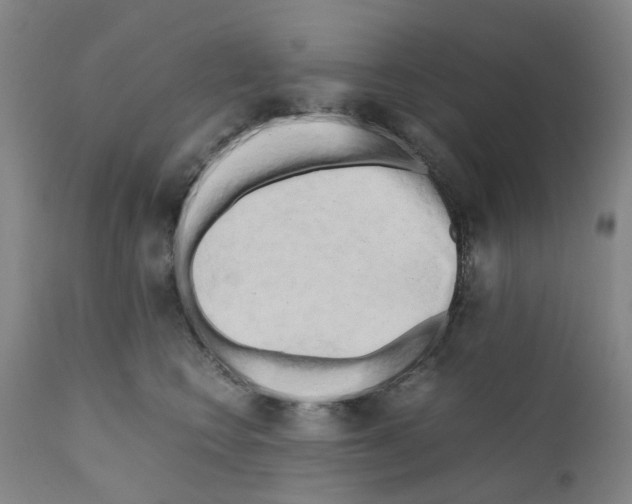 X0000110950566200907311044