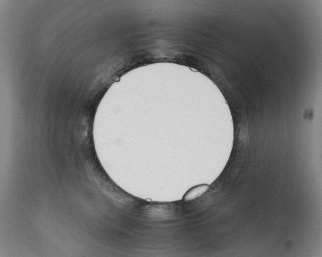 X0000110950567200907311044