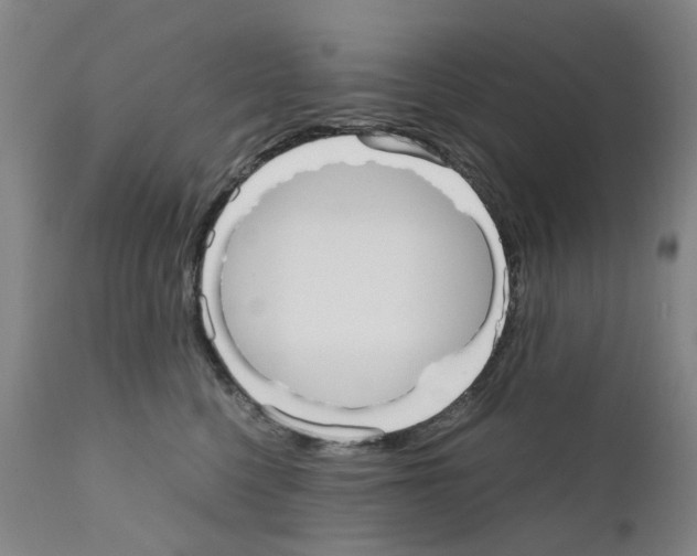 X0000110950568200907311044