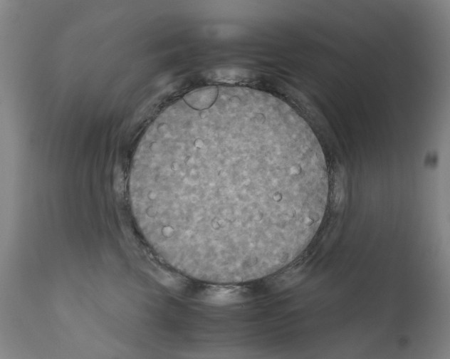 X0000110950569200907311044
