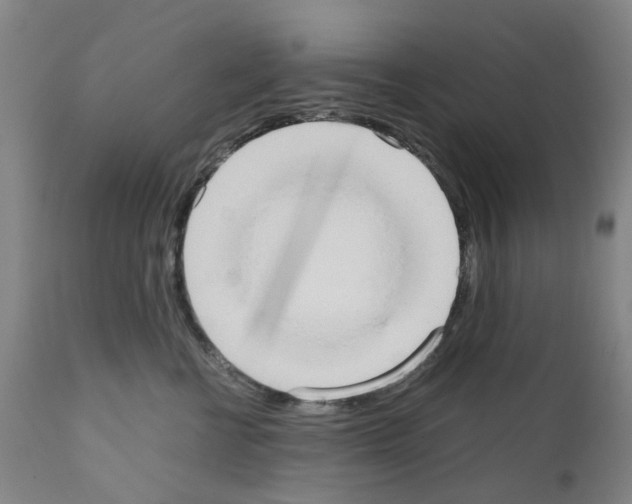 X0000110950570200907311044