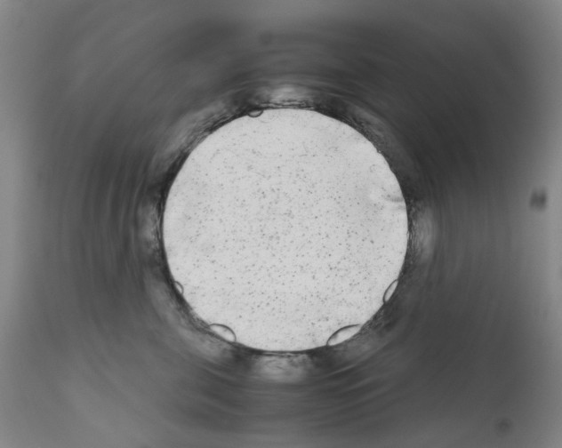 X0000110950571200907311044