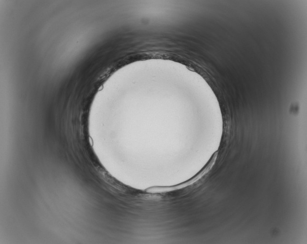 X0000110950572200907311044
