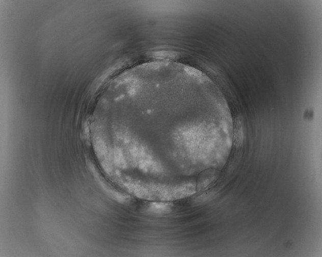 X0000110950573200907311044