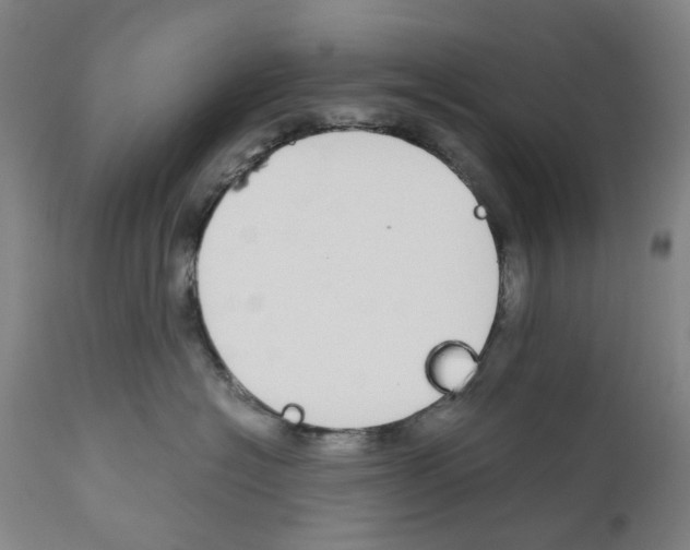 X0000110950574200907311044