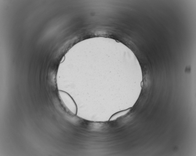 X0000110950575200907311044