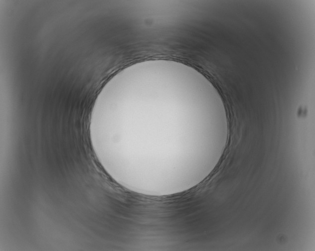 X0000110950576200907311044
