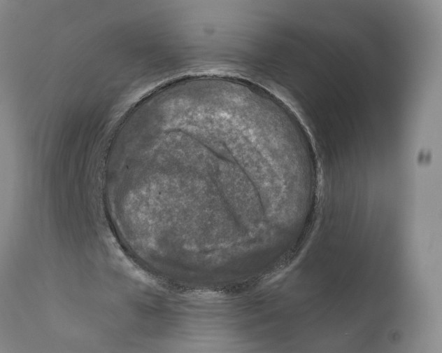 X0000110950577200907311044