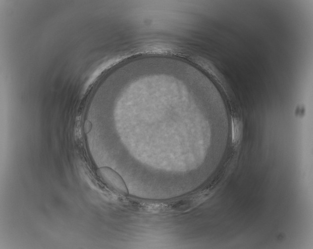 X0000110950579200907311044