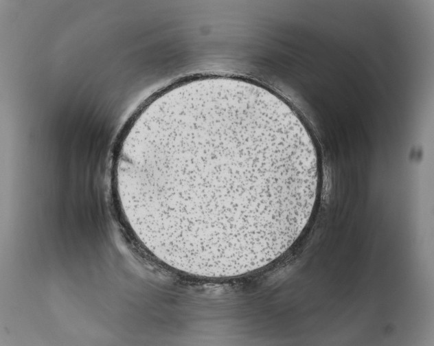 X0000110950580200907311044