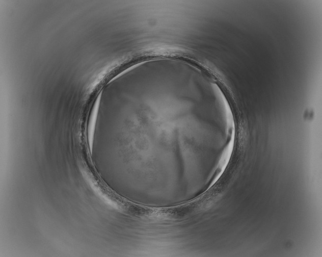 X0000110950581200907311044