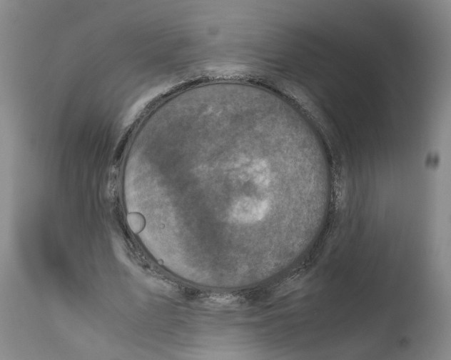 X0000110950583200907311044