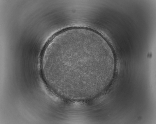 X0000110950584200907311044