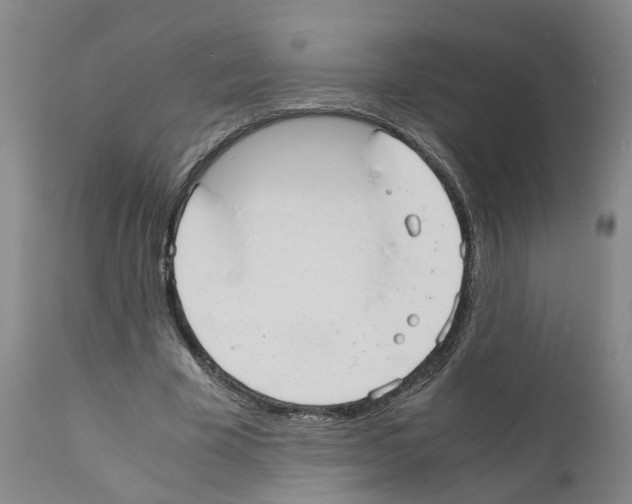 X0000110950585200907311044