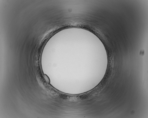 X0000110950587200907311044