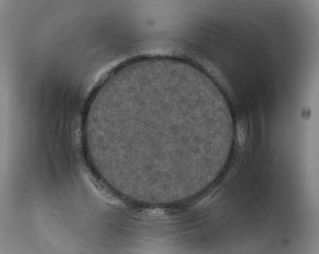 X0000110950588200907311044