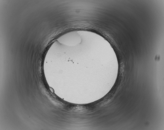 X0000110950589200907311044