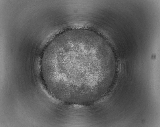 X0000110950590200907311044