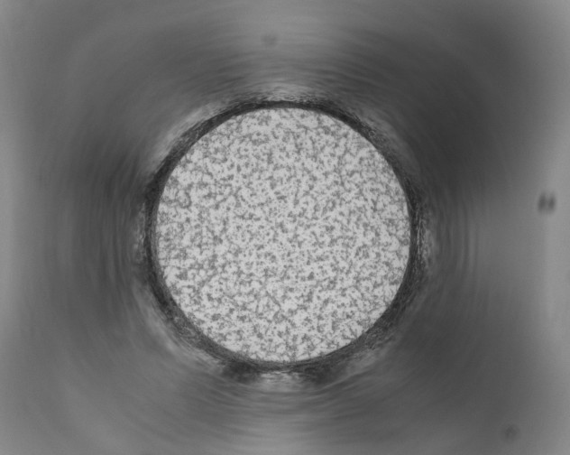 X0000110950591200907311044