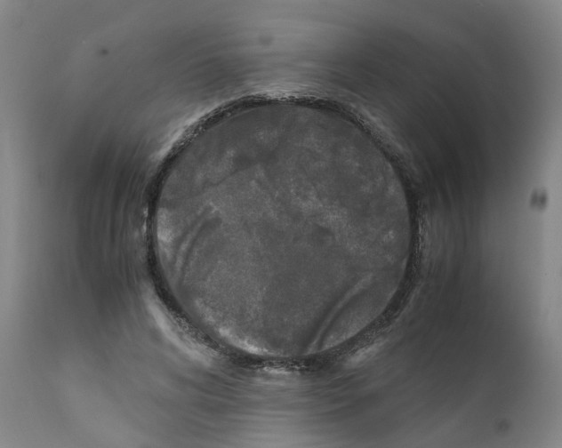 X0000110950592200907311044